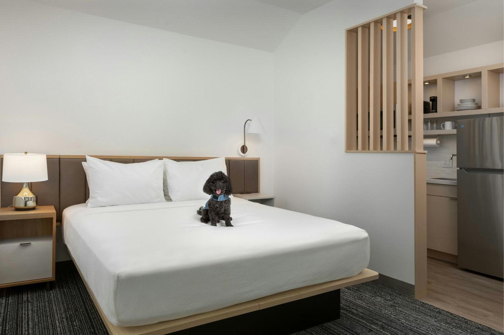 Towneplace Suites By Marriott Annapolis Extérieur photo